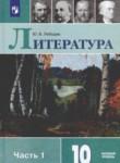 Литература 10 класс Лебедев