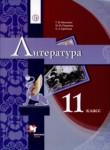 Литература 11 класс алгоритм успеха Москвин Пуряева Ерохина (Базовый уровень)